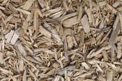 biomass boilers Trehafren